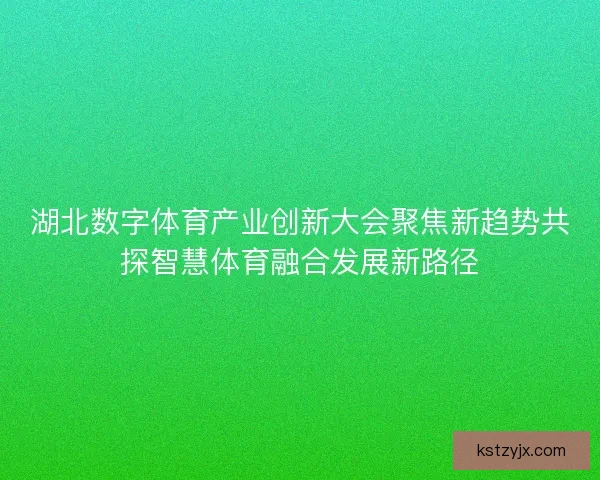湖北数字体育产业创新大会聚焦新趋势共探智慧体育融合发展新路径