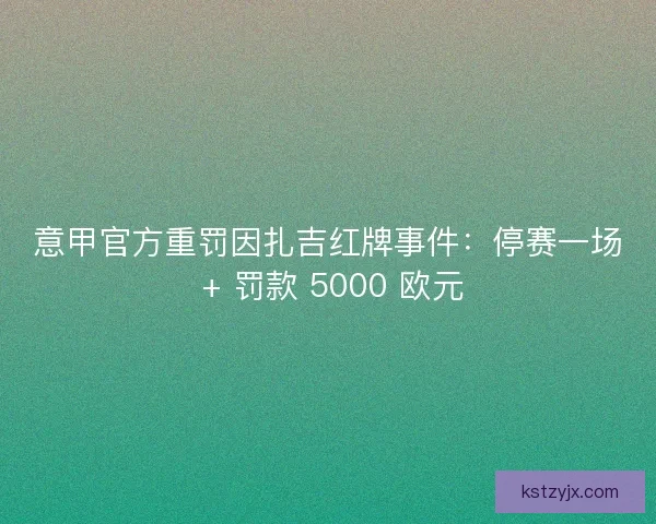 意甲官方重罚因扎吉红牌事件:停赛一场 + 罚款 5000 欧元 意甲官方重罚因扎吉红牌事件:停赛一场 + 罚款 5000 欧元